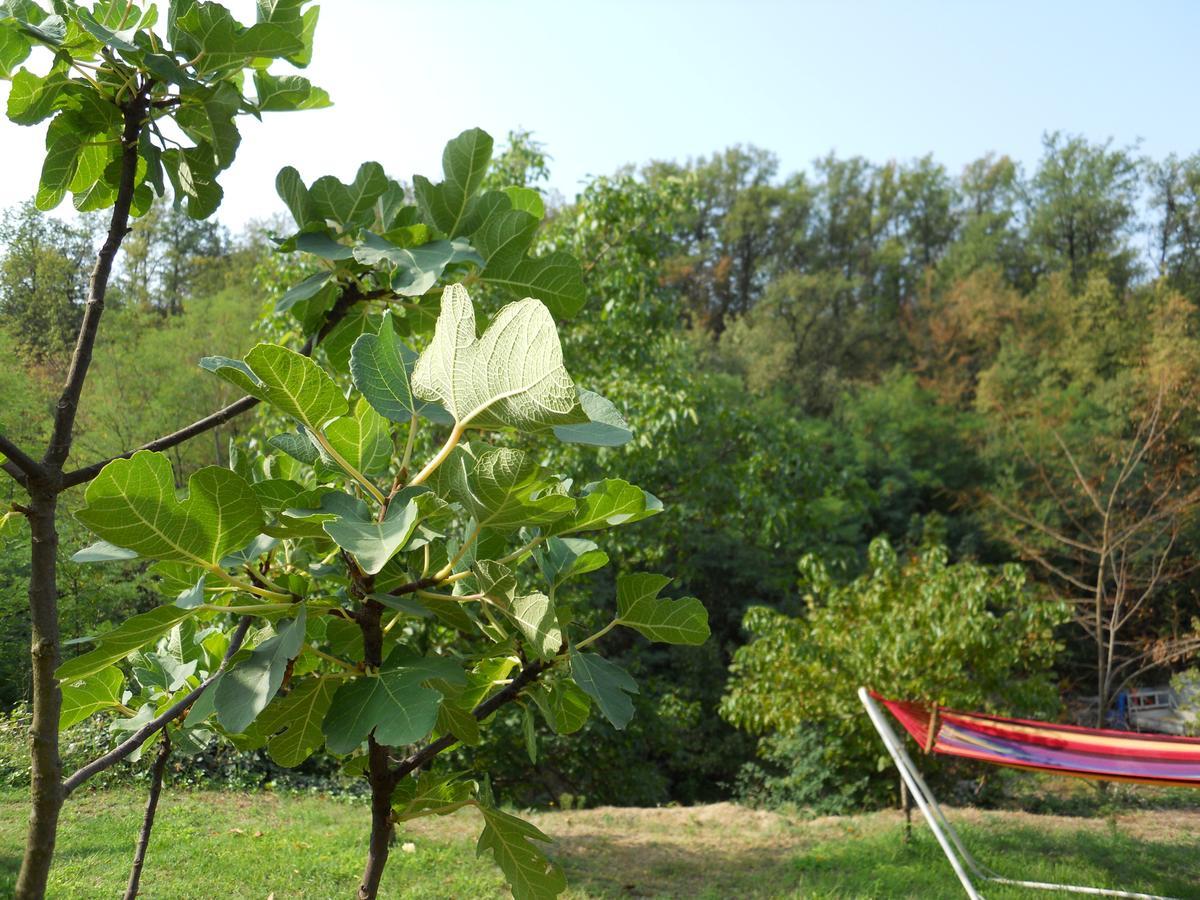 Casa Clotilde Bed & Breakfast Stazzano Dış mekan fotoğraf