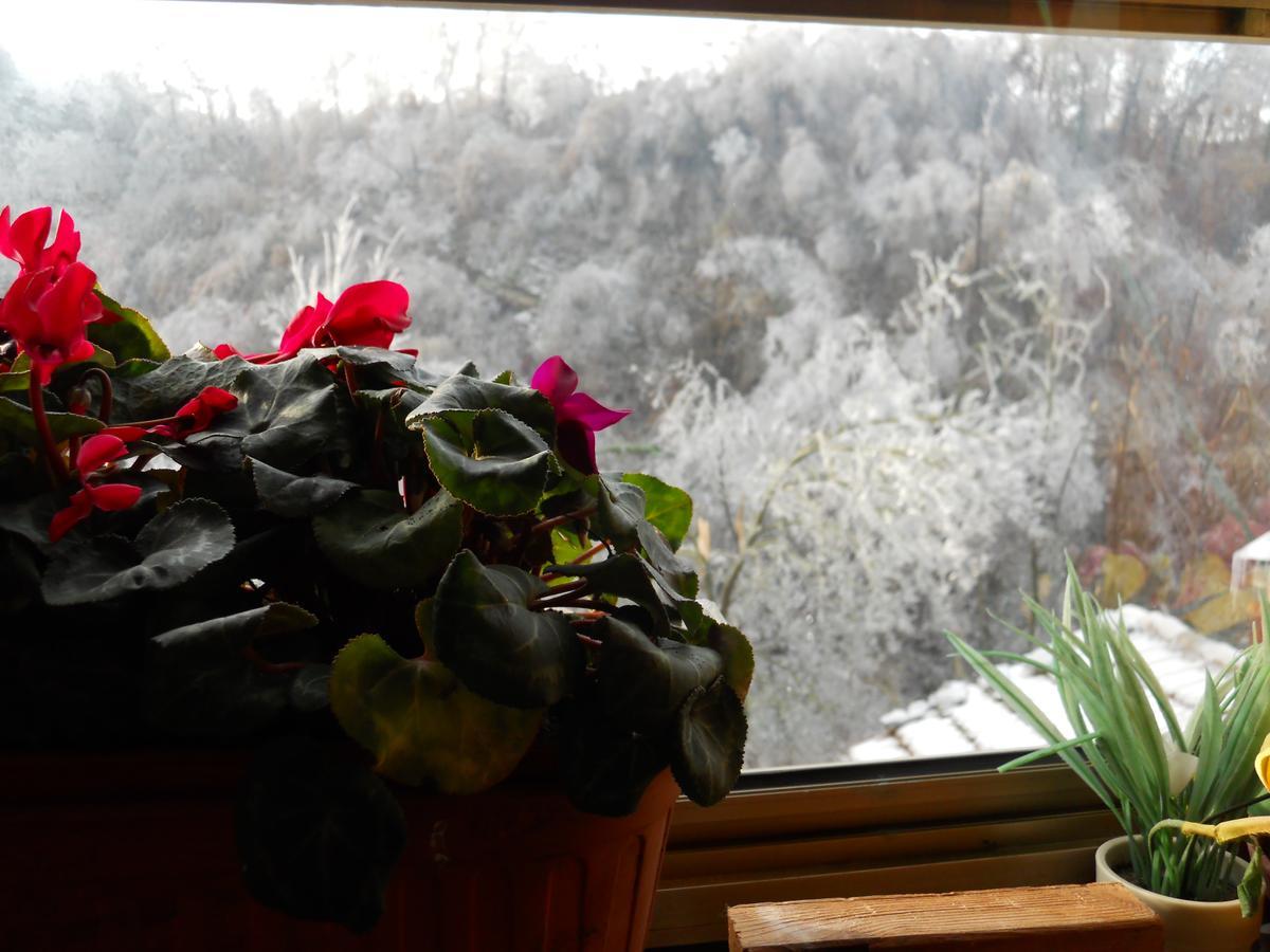 Casa Clotilde Bed & Breakfast Stazzano Dış mekan fotoğraf